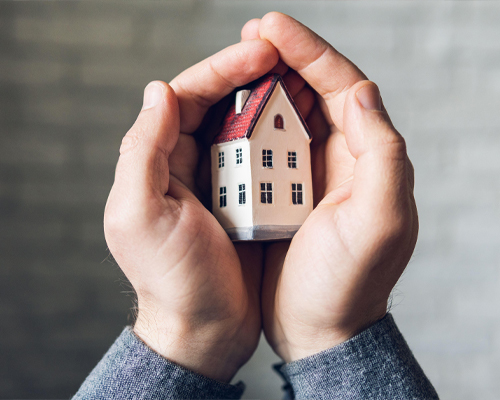 Fraud Protection Services